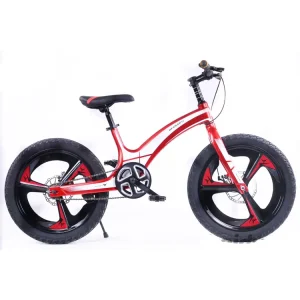 Toy Bike 6 Years Full Size 20 Inch Girls and Boys Back Seat Children Bicycle Kid Cycle