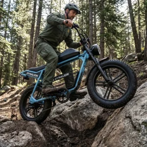 Trail Inspired Mtb Look Electric Mountain Bike with Front Suspension Fork Mountain Ebike for Forest Ranger Checkpoint Roads
