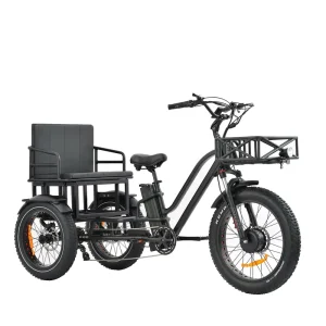 Two Seater 3 Wheel Cargo Aluminum Alloy Frame Lithium Battery 750W Electric Tricycle LCD Display Suspension Front Fork Fat Tire