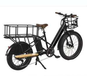 Two Seats Cargo Food Delivery Electric Bike