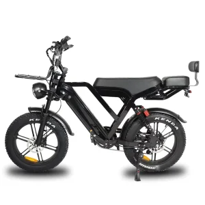 Two seater Bicycle Electric Bike 20″ Fat Tire Fatbike Cargo Bikes 250w Hybrid Ebike Design E Bike Off Road