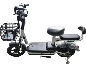 Two-wheel Electric Bicycles in China Electric Bicycles