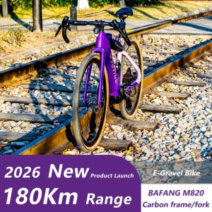 UL Certified Lightweight Carbon Frame Electric Assist Gravel Bike 700c 250W 36V for Long Distance City Road Rid