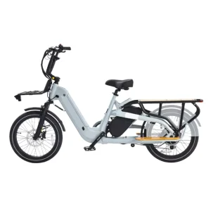 UL Ceterficated Electric Cargo Bike with 750W Long Tail 48V 15Ah Dual Battery Hybrid Electric Bike in US Warehouse