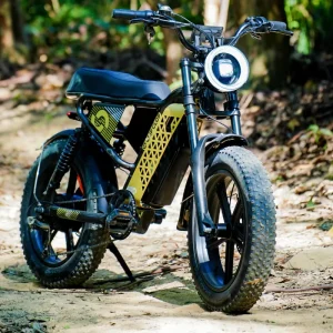 US Stock Electric Fat Tire Mountain Bike 750 1000W Rear Hub Brushless Motor Aluminum Alloy