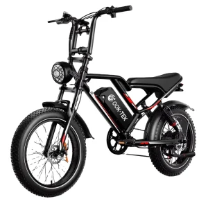 US Stock Fast Delivery E bike Electric Bike 48V 250W Dual Motors 7 Speed Gears 20Inch Electric Fat Tire Bike