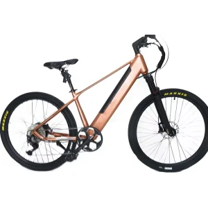 US Warehouse Electric Mountain Bike new Arrival Electric bike 48V or 52V Electric Mountain Bike