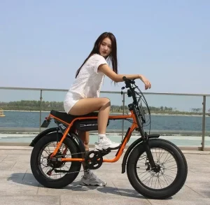 US Warehouse Fast Delivery 20inch Snow E-bike 48V750W Electric Urban Bike Super Ebike With Foot Pegs Retro Headlight