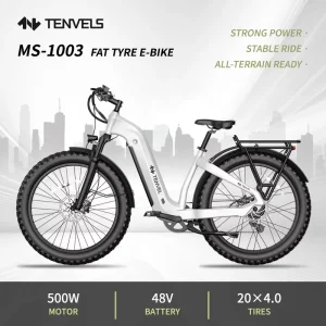 USA Warehouse 48v Emtb Moped Retro Electric Bicycle Hybrid Bike E Bike Road Dirt E Bike Ebike Mountain Fat Tire Electric Bike