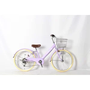 Unisex 6 Speed City Bike 24 Inch Steel Fork Double V Brake 100kg Load Capacity For Kids And Women