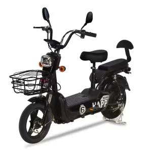 Unisex Electric Bicycle Hometown of Chinese Bicycles Two Wheeled Electric Bicycle