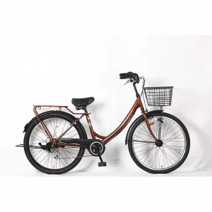 Unisex Vintage 24 Inch Steel City Bike Women’s Fork Material with Front Basket Included Lights for 6 Speed Urban Riding Bicycle