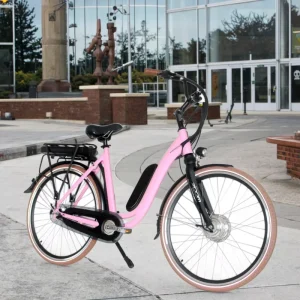 Urban Electric Bicycles for Adults Popular Mountain Fat Tire E Bike Lithium Battery Disc Brake System Brushless Steel