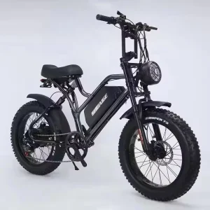 Urban Leisure Transportation Luxury Electric Bike Electric Moped Bike with Pedals