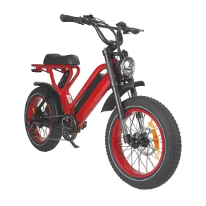 Urban Pedal Assist 20 Inch Electric Fat Tire Bike 50 km h City Electric Bike