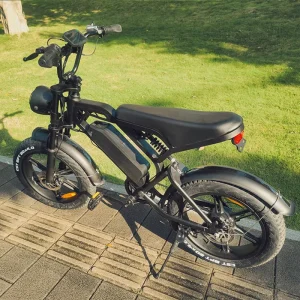 V20 Electric Mountain Bicycle MTB E-Bike Off-Road Fat Tire Electric Bike 250W Off-road Fatbike