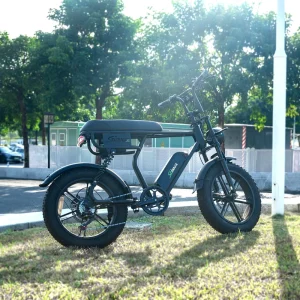 V20 Fatbike V20 Pro Bicycle Electric Bike 250W Motor Electric Cycles E-bike 250W 2 Seat Ebike V20 Max Electric Bike