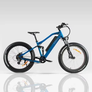 V8 48V 750W Hybrid Electric Mountain Bike, 20-Inch Fat Tires, 60 km Range, Hydraulic Damping, Lithium Frame, City Bicycle Cargo