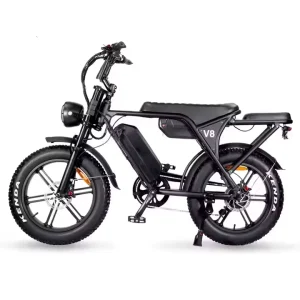 V8 Mountain 1000W/750W Electric Hybrid Bicycle, 48V 30Ah Removable Lithium Battery, 4.0 Fat Tires, Beach Cruiser Bicycle