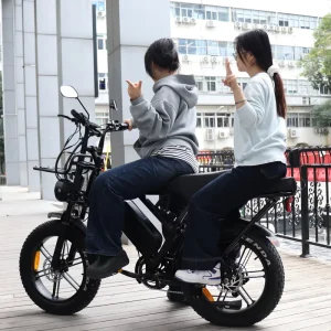 VOMO E-Bike 250W X80Pro Off-Road Urban Adult Ebike, Hybrid-Tire X80 PRO Electric Bicycle