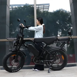 VOMO X80 Pro City Electric Bicycle Motor Electric Delivery E Bike Fatbike Vintage 250W Two Seat Ebike