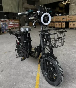Various Good Quality Brand New Electric Bikes for Adults Electric Fat Bike with Snow Tire 60V30Ah Battery