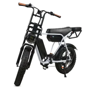 Vietnam Factory V8 Max 7 Speed Ebike 20 Inch Fat Tire Electric Bike Adult Fatbike with Dual Batteries