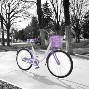 Vintage Adult Single Speed City Bicycle Old Fashioned Urban Bicycles Custom Lady High Carbon Steel