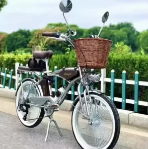 Vintage Commuter Bike Double Disc Brake Variable Speed Light British Bicycle Unisex 24-26″