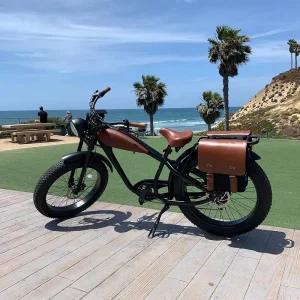 Vintage Electric Bike Fat Tyre Electric Bicycle for Adults 350W Electric Motor
