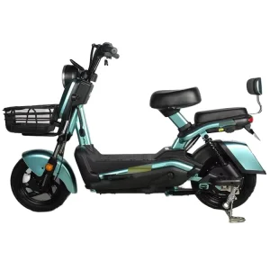 Waterproof Unisex Adult Bike City Commute Carbon Steel 48 V Load Goods Disc Brake Electric Cargo Bike