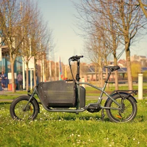 Wide Cargo Bike with Aluminum Alloy Frame 9 Speed 180kg Load Capacity for Kids Pets Shopping & Outdoor Adventures