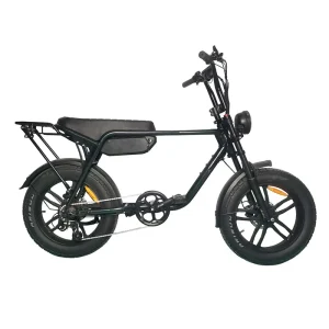 Win Rider 36v 750w Mountain E bike With Removable Lithium Battery 20*4 Inch Fat Tire Electric Bike For Out Door