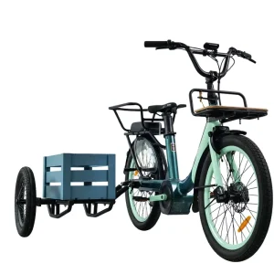 Win Rider Odm oem 250w 36v Electric City Bike With Sidecar 17.5ah Lithium Battery Range 80km