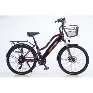 Woman Electric Bike 48V 1000w Mountain Bike