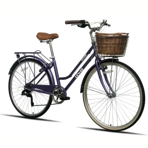 Women 7 Speeds Steel Ladies City Bike Best Sale City Bicycle Price Bike