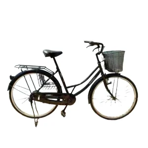 Women Single Speed Bicycles City Bike with Front Basket Classic Urban Ladies Bike City Bike