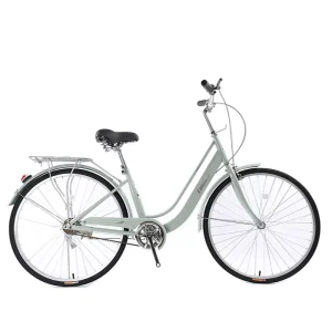 Women’s 24-Inch Single Speed Retro Urban City Bicycle with Steel Frame and Aluminum Alloy Fork