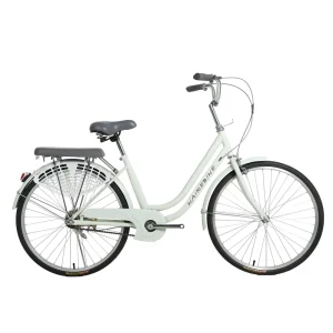 Women’s 28 Inch Vintage Bike with Single Speed Gear and Aluminum Fork Factory Direct Discount Sale OEM Customizable