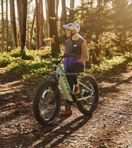 Women’s Aura All-Terrain E-Bike 25kph 52V 15Ah Aluminum Frame Rear Hub Motor Lithium Battery Removable Feature for EU Market