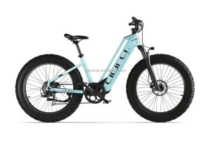 Women’s Aura All Terrain E-Bike 25kph 52V 15Ah Rear Hub Motor Removable Aluminum Frame Smart Sensor 52V Lithium
