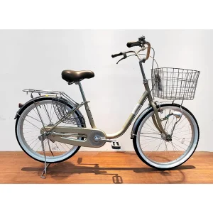 Women’s City Bicycle with Steel Frame Single Speed Aluminum Alloy Rim 22/24 Inch System