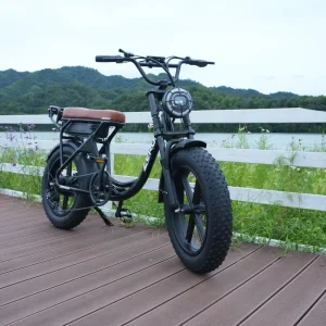 Women’s Electric Bicycle 250W 15Ah Urban Fat Tire City Bike
