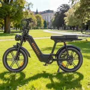 Women’s Electric Bike D50 48V 18.2AH 20Inch Dual Disc Brake Dual Suspension Electric Commuter Bike for Adult