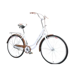 Women’s High Ten Steel Bicycle Lightweight Female Students Bike Portable Bike