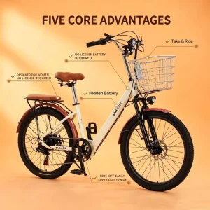 Women’s Special Electric Bicycle Rear Hub Motor 36V City Ride Hidden Battery Free to Carry Out and Ride