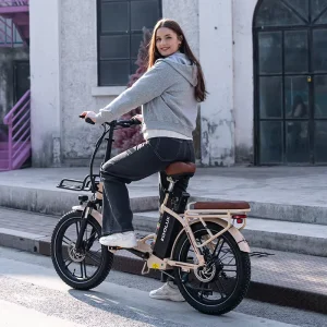 X16 20 Inch 7 Speed Lithium Battery Aluminum Electric Cargo Folding Bike with Front Basket