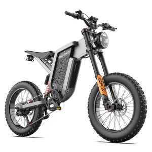 X21 Adult Mountain Electric Bike 2000W 35Ah Lithium IP67 Waterproof Aluminum Alloy Frame Cross Country Off Road Tyre Mens E Bike
