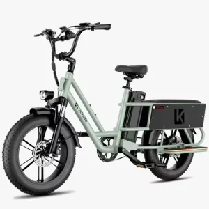 X5 Lite 750W Rear Hub Motor Brushless Lithium Battery Cargo Ebike 20×4 Fat Tire 440LB Load Adult Factory Price
