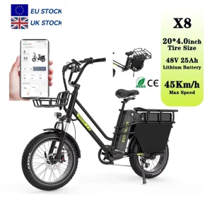 X8 48V Brushless Rear Hub Motor Cargo Electric Bike Dual Lithium Battery Long Range Sidecar for Takeaway Delivery 25KM/H